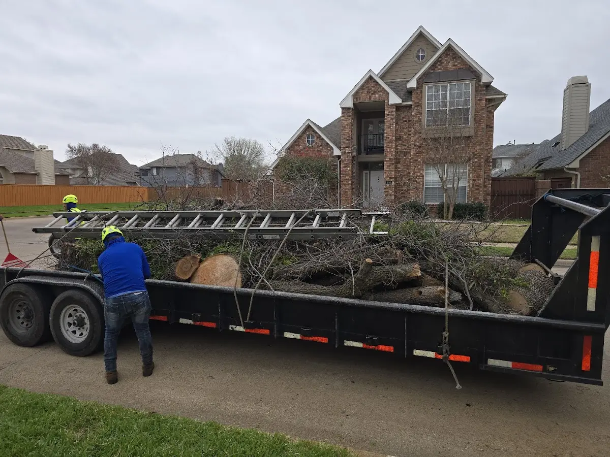 Expert Tree Fertilization with proper safety equipment in Freeman